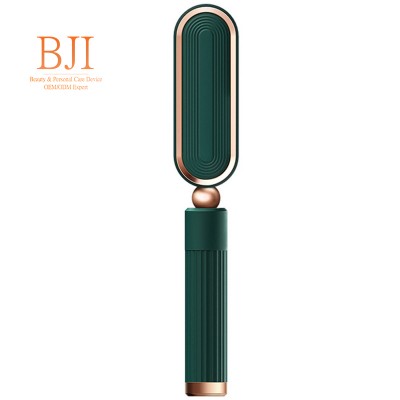 BJI Sales05 Home Use Professional Ceramic Flat Iron Hair Straightener Brush